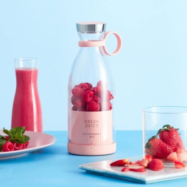 mini juicer